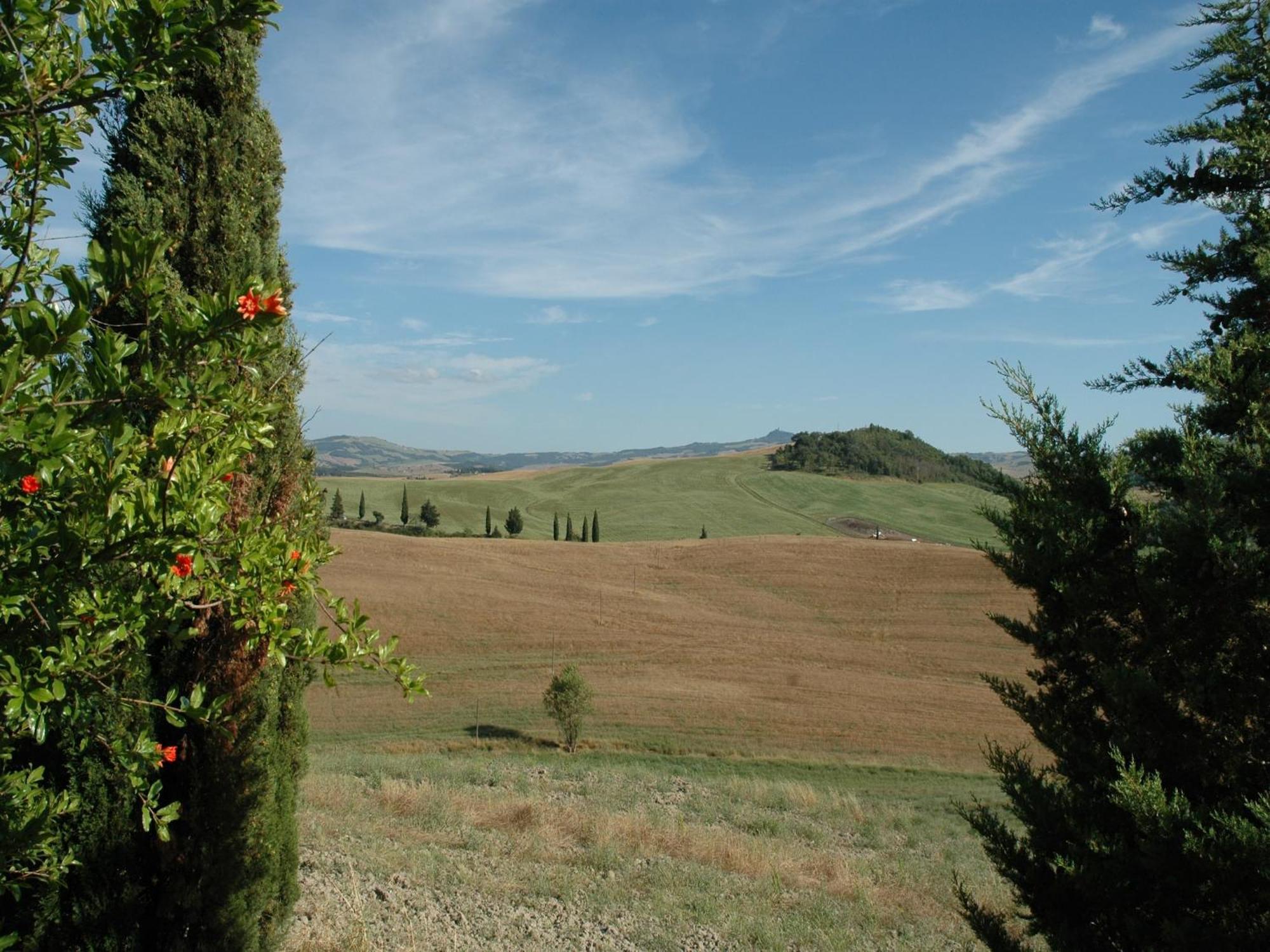 Modern Farmhouse In Pienza With Pool 外观 照片